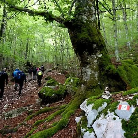 Piccola Casa Pie' Di Monte Holiday home